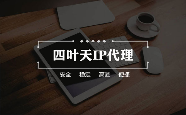 【南宁代理IP】如何快速搭建代理IP？怎么检查代理的效果？